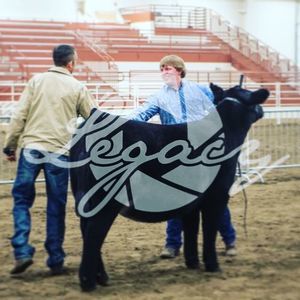 Meet your Posher, Evan